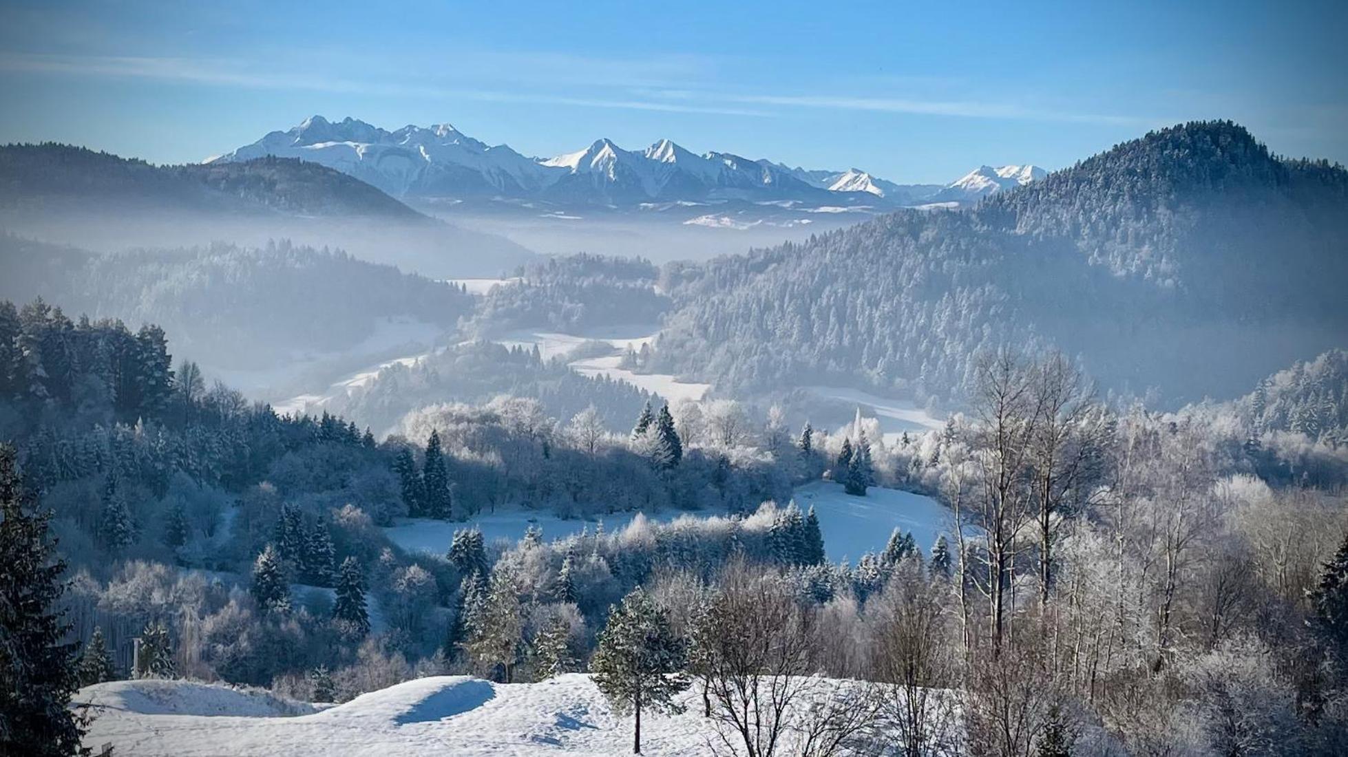 Apartamenty Kornaje Szczawnica Luaran gambar